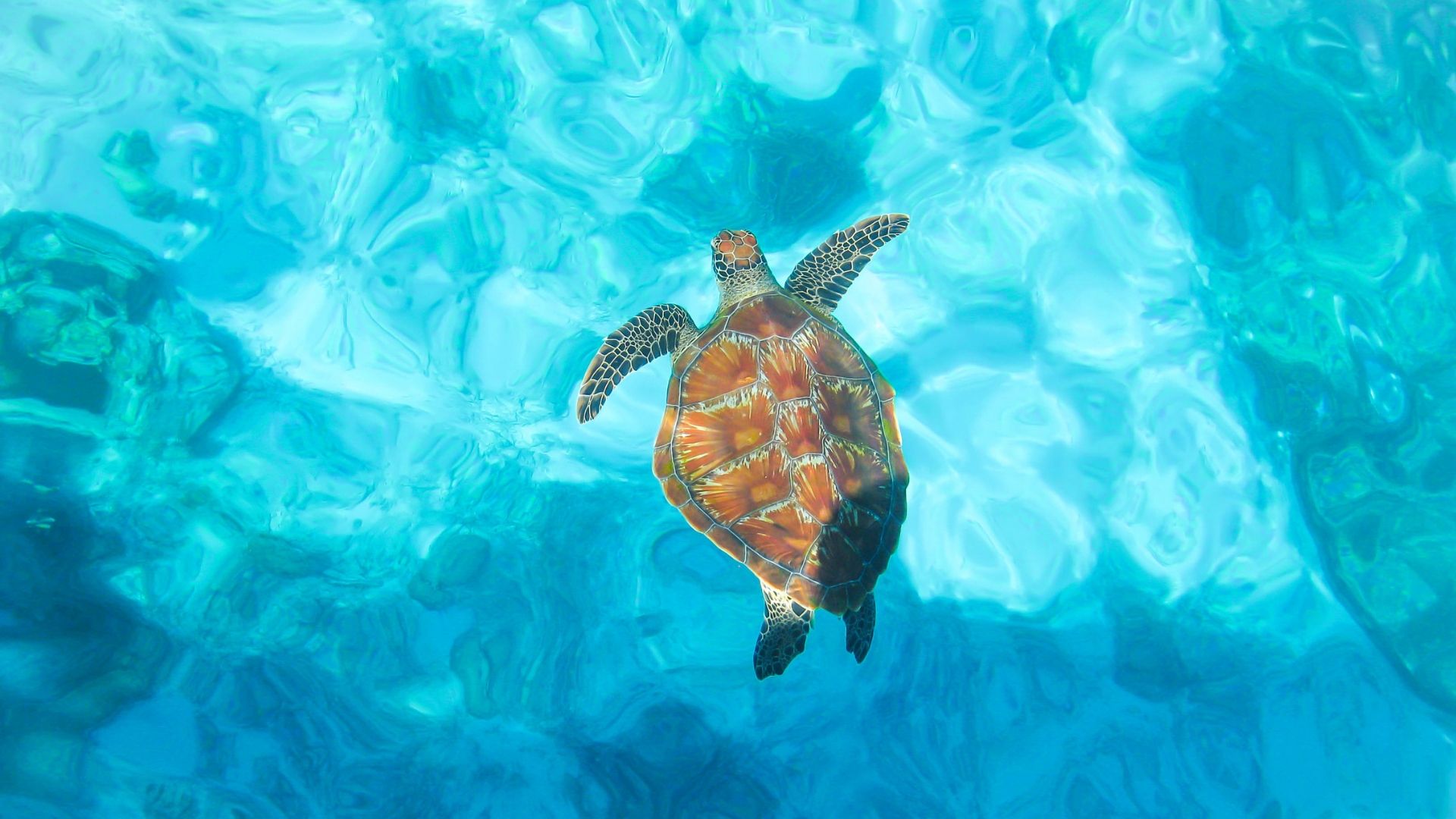 sea water